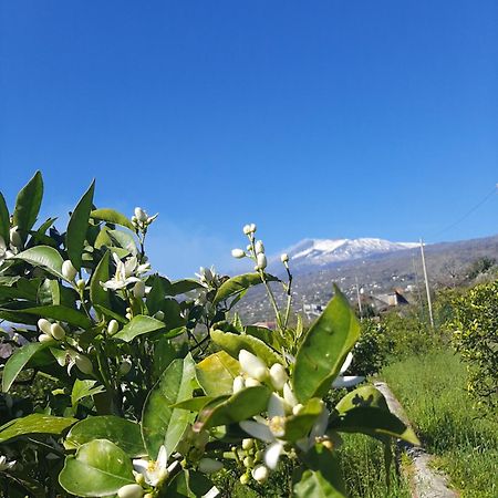 Zagara Villa Mascali Dış mekan fotoğraf