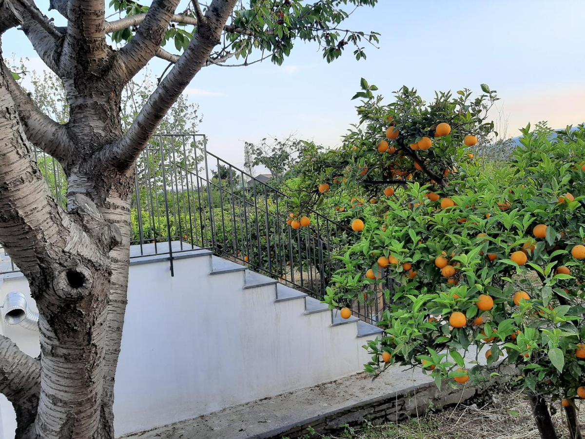 Zagara Villa Mascali Dış mekan fotoğraf